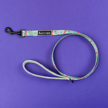 Trail & Glow® Fabric Dog Lead 5ft - Dino Party - Bailey and Coco (UK)