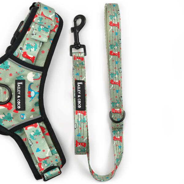 Trail & Glow® Fabric Dog Lead 5ft - Dino Party - Bailey and Coco (UK)
