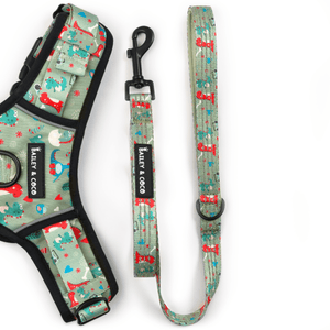 Trail & Glow® Fabric Dog Lead 5ft - Dino Party - Bailey and Coco (UK)