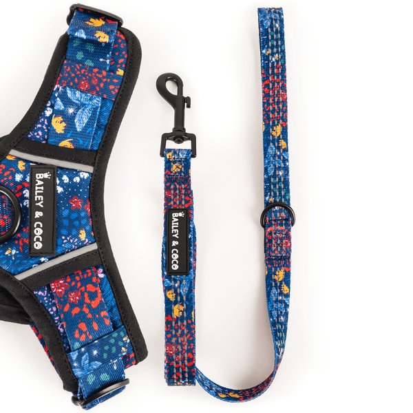 Trail & Glow® Fabric Dog Lead 5ft - Enchanted - Bailey and Coco (UK)