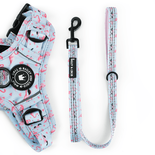 Trail & Glow® Fabric Dog Lead 5ft - Flamingo Fling - Bailey and Coco (UK)