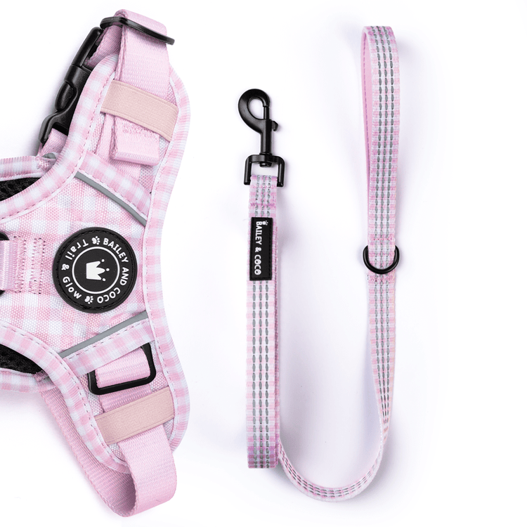 Trail & Glow® Fabric Dog Lead 5ft - Gingham Dreams - Bailey and Coco (UK)