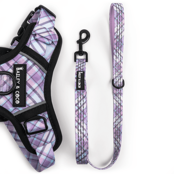 Trail & Glow® Fabric Dog Lead 5ft - Lilac Haze - Bailey and Coco (UK)