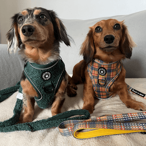 Trail & Glow® Fabric Dog Lead 5ft - Rustic Tartan - Bailey and Coco (UK)