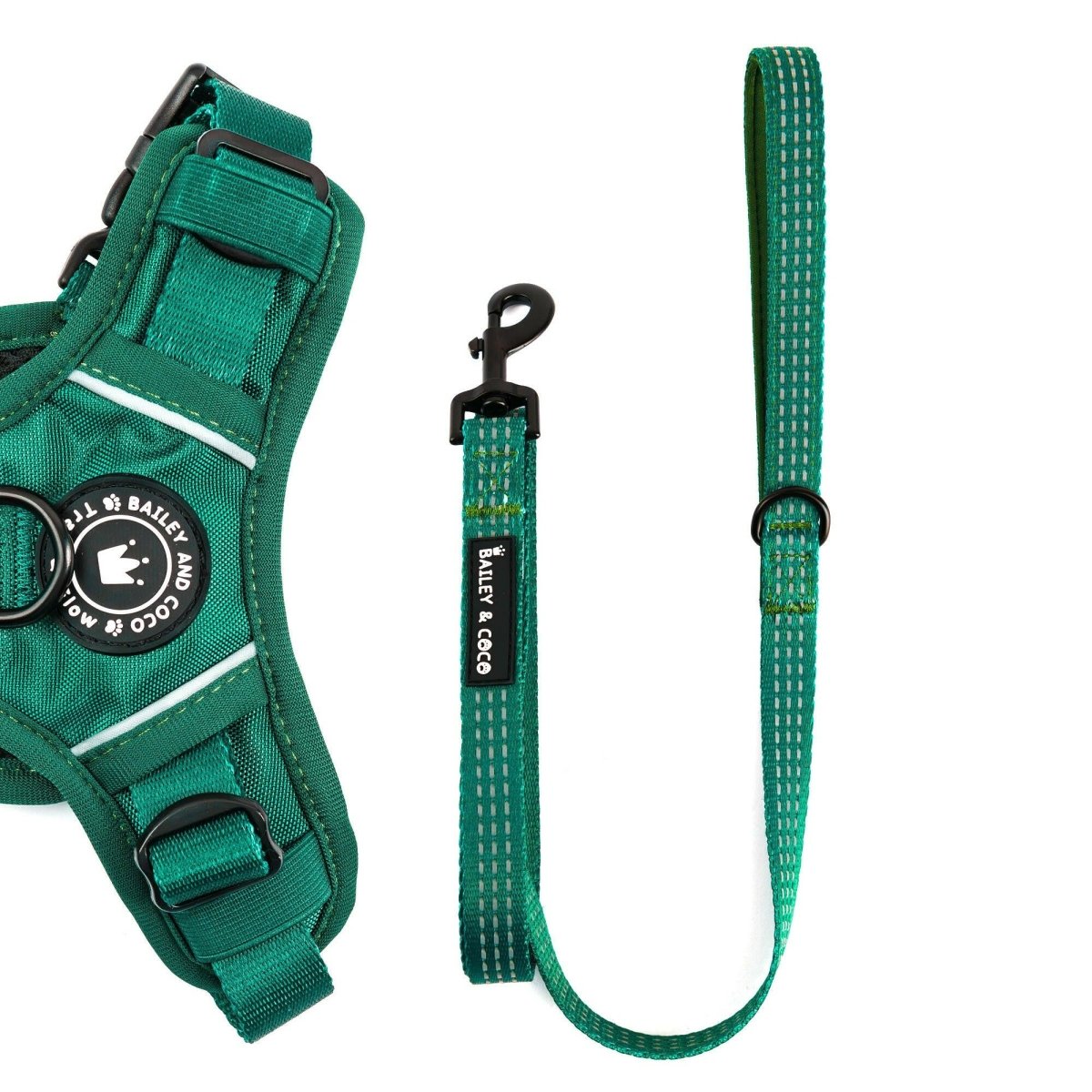 Dog Lead Gloria 1 x 200 cm Green main image 1