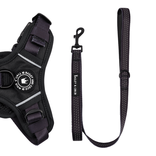 Trail & Glow® Fabric Dog Lead 5ft - The Jet Black One - Bailey and Coco (UK)