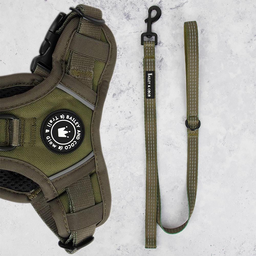 Trail & Glow® Fabric Dog Lead 5ft - The Khaki One - Bailey and Coco (UK)