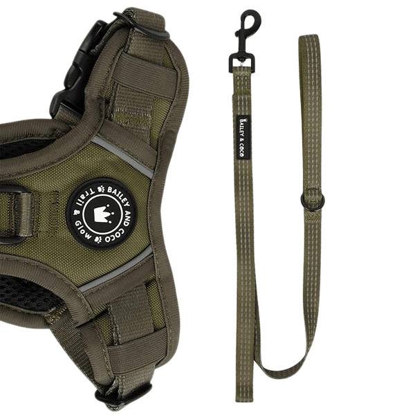 Trail & Glow® Fabric Dog Lead 5ft - The Khaki One - Bailey and Coco (UK)