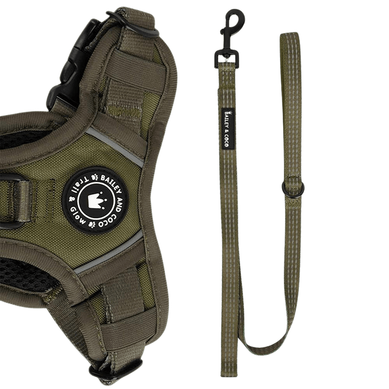 Trail & Glow® Fabric Dog Lead 5ft - The Khaki One - Bailey and Coco (UK)