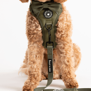 Trail & Glow® Fabric Dog Lead 5ft - The Khaki One - Bailey and Coco (UK)