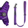 Trail & Glow® Fabric Dog Lead 5ft - The Royal Purple One - Bailey and Coco (UK)