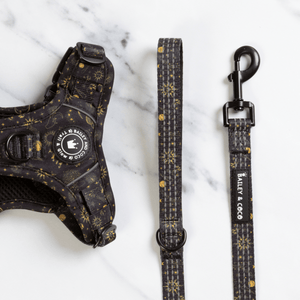 Trail & Glow® Harness Bundle Set - Celestial - Bailey and Coco (UK)