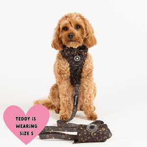 Trail & Glow® Harness Bundle Set - Celestial - Bailey and Coco (UK)
