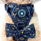 Trail & Glow® Harness Bundle Set - Celestial - Bailey and Coco (UK)