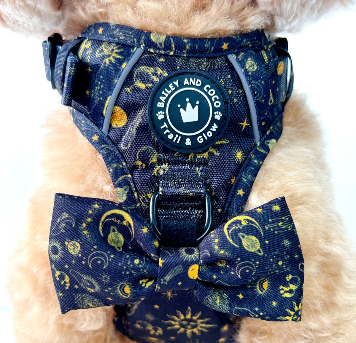 Trail & Glow® Harness Bundle Set - Celestial - Bailey and Coco (UK)