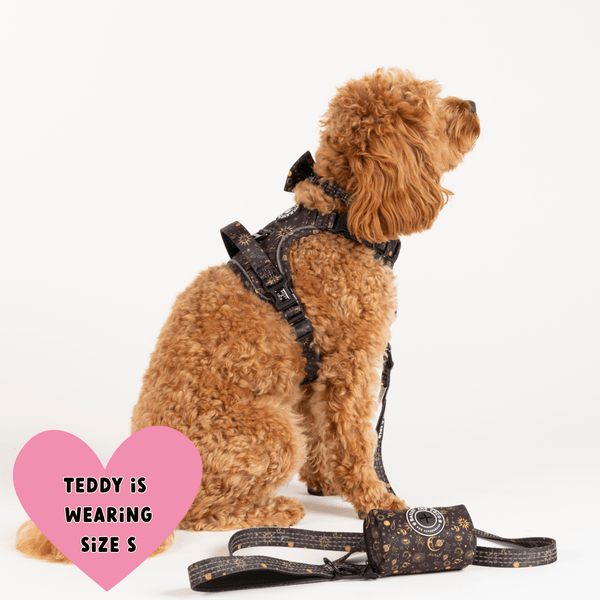 Trail & Glow® Fabric Dog Lead 5ft - Celestial - alternate view