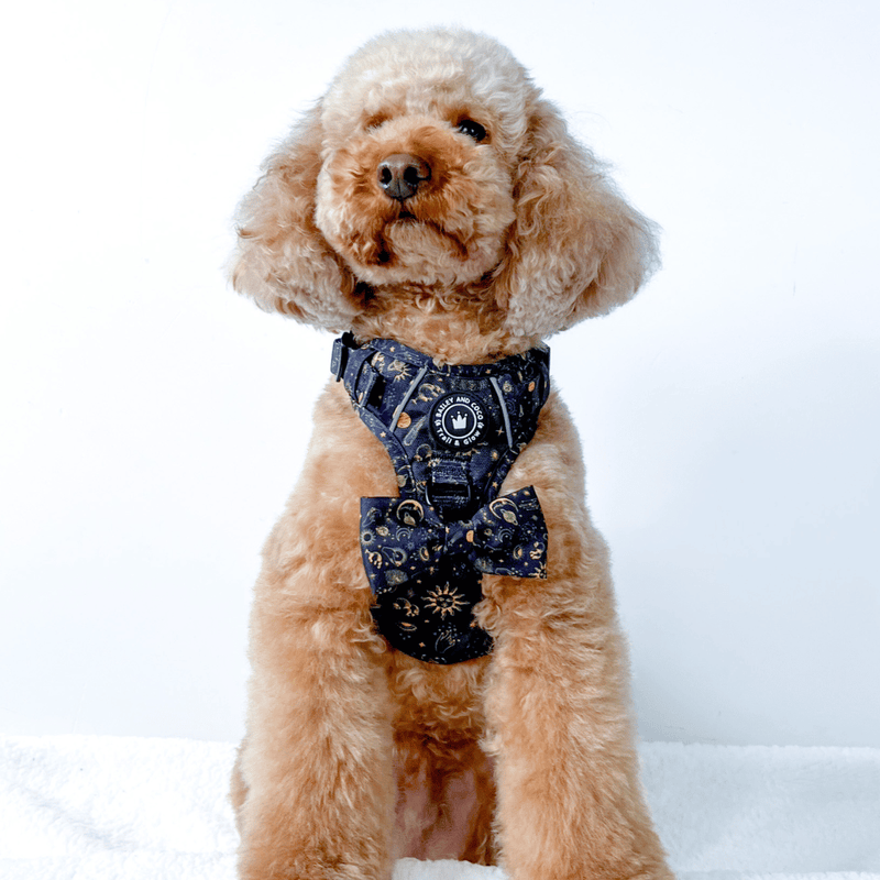 Trail & Glow® Harness Bundle Set - Celestial - Bailey and Coco (UK)