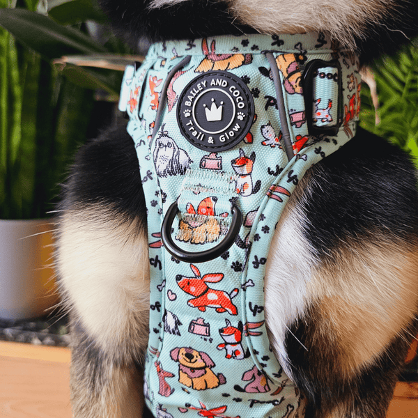 Trail & Glow® Harness Bundle Set - Dog Party - alternate view