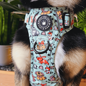 Trail & Glow® Harness Bundle Set - Dog Party - Bailey and Coco (UK)
