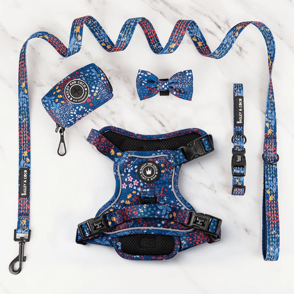 Trail & Glow® Harness Bundle Set - Enchanted - Bailey and Coco (UK)