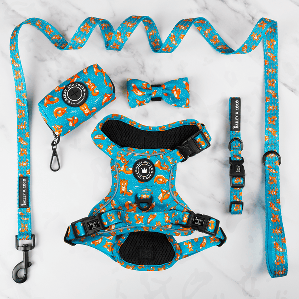 Trail & Glow® Harness Bundle Set - Foxy Yoga - Bailey and Coco (UK)