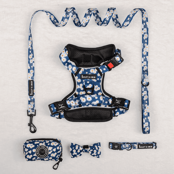 Trail & Glow® Harness Bundle Set - Loves Me, Loves Me Not Daisy - Bailey and Coco (UK)