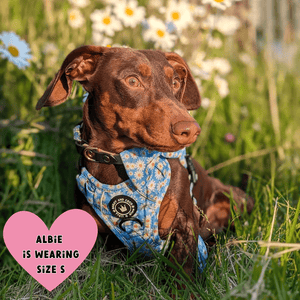 Trail & Glow® Harness Bundle Set - Loves me more - Bailey and Coco (UK)