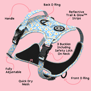 Trail & Glow® Harness Bundle Set - Loves me more - Bailey and Coco (UK)