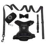Trail & Glow® Harness Bundle Set - The Jet Black One - Bailey and Coco (UK)