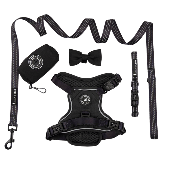 Trail & Glow® Harness Bundle Set - The Jet Black One - Bailey and Coco (UK)