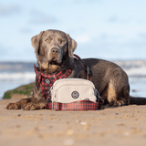 Trail & Glow® Harness Bundle Set - The Red Tartan One - Bailey and Coco (UK)