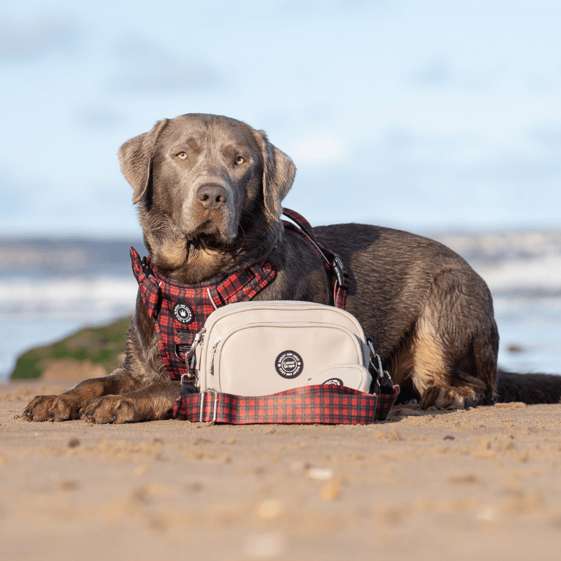 Trail & Glow® Harness Bundle Set - The Red Tartan One - Bailey and Coco (UK)
