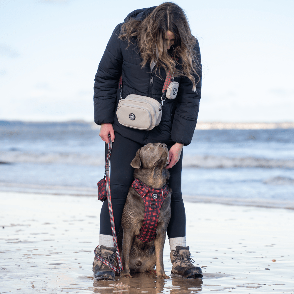Trail & Glow® Harness Bundle Set - The Red Tartan One - Bailey and Coco (UK)