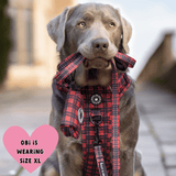 Trail & Glow® Harness Bundle Set - The Red Tartan One - Bailey and Coco (UK)