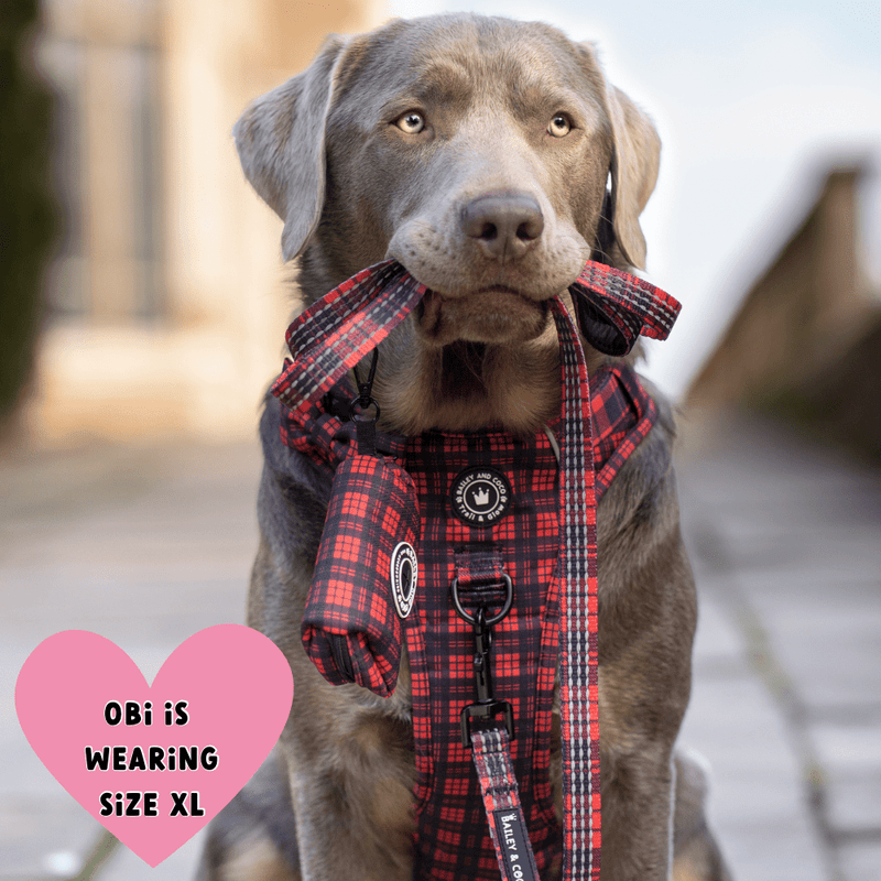 Trail & Glow® Harness Bundle Set - The Red Tartan One - Bailey and Coco (UK)