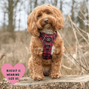 Trail & Glow® Harness Bundle Set - The Red Tartan One - Bailey and Coco (UK)