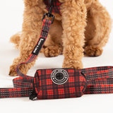Trail & Glow® Harness Bundle Set - The Red Tartan One - Bailey and Coco (UK)