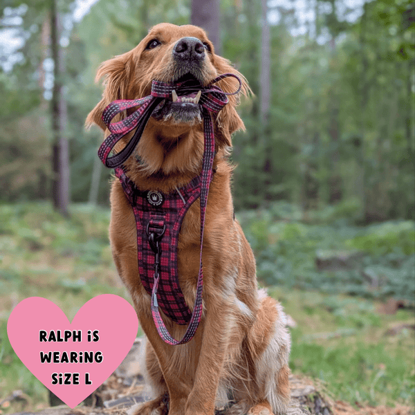 Trail & Glow® Harness Bundle  Set - The Red Tartan One - alternate view
