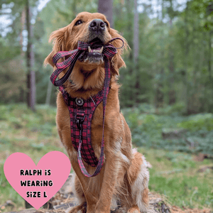 Trail & Glow® Harness Bundle Set - The Red Tartan One - Bailey and Coco (UK)