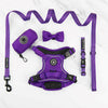 Trail & Glow® Harness Bundle Set - The Royal Purple One - Bailey and Coco (UK)