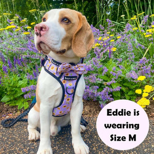 Trail & Glow® Harness Bundle Set - Walking on Sunshine - Bailey and Coco (UK)