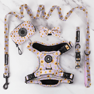 Trail & Glow® Harness Bundle Set - Walking on Sunshine - Bailey and Coco (UK)