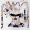 Trail & Glow® Harness Bundle Set - Walking on Sunshine - Bailey and Coco (UK)
