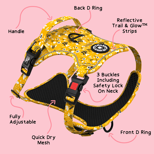 Trail & Glow® Harness Bundle Set - Wanna-Bee - alternate view