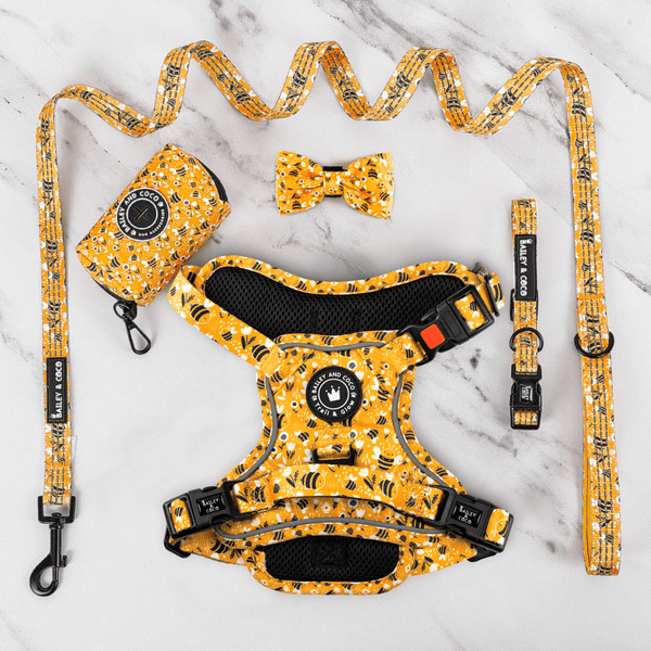 Trail & Glow® Harness Bundle Set - Wanna - Bee - Bailey and Coco (UK)
