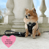 Trail & Glow Lightweight Mini Dog Lead 5ft - Colour Drops - Charcoal Tweed - Bailey and Coco (UK)