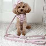Trail & Glow Lightweight Mini Dog Lead 5ft - Colour Drops - Lavender Tweed - Bailey and Coco (UK)
