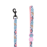Trail & Glow Lightweight Mini Dog Lead 5ft - Colour Drops - Spring Dreams - Bailey and Coco (UK)