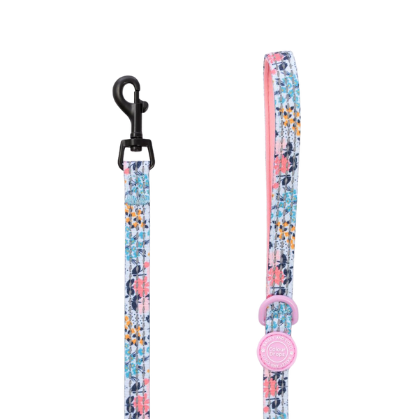 Trail & Glow Lightweight Mini Dog Lead 5ft - Colour Drops - Spring Dreams - Bailey and Coco (UK)