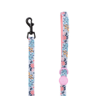 Trail & Glow Lightweight Mini Dog Lead 5ft - Colour Drops - Spring Dreams
